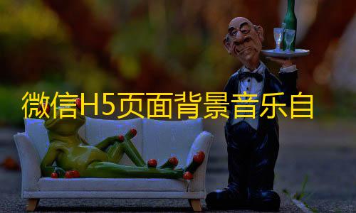 在线DNS解析工具微信H5页面背景音乐自动播放